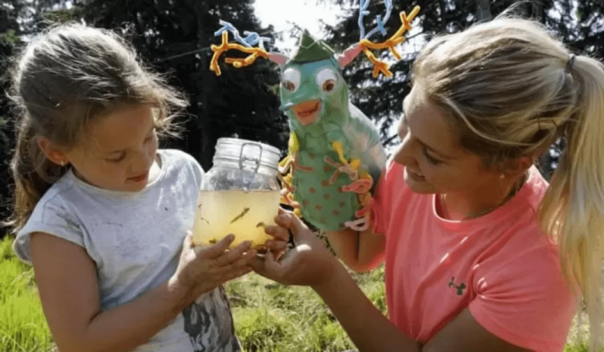 Screenshot_2024-09-12_at_08-48-34_1_k800_westendorf_20180821_1253bearbeitet2-jpg_WEBP-Grafik_750__498_Pixel