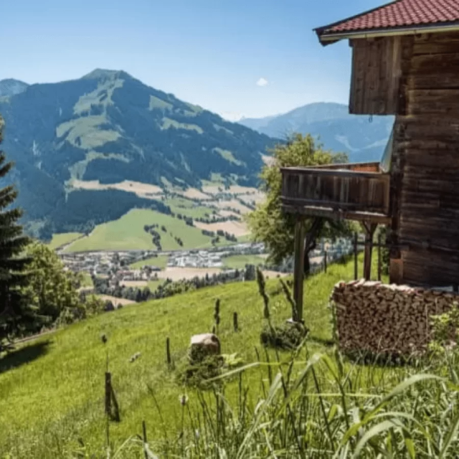 Screenshot_2024-09-12_at_08-48-45_brixen-jpg_WEBP-Grafik_750__498_Pixel