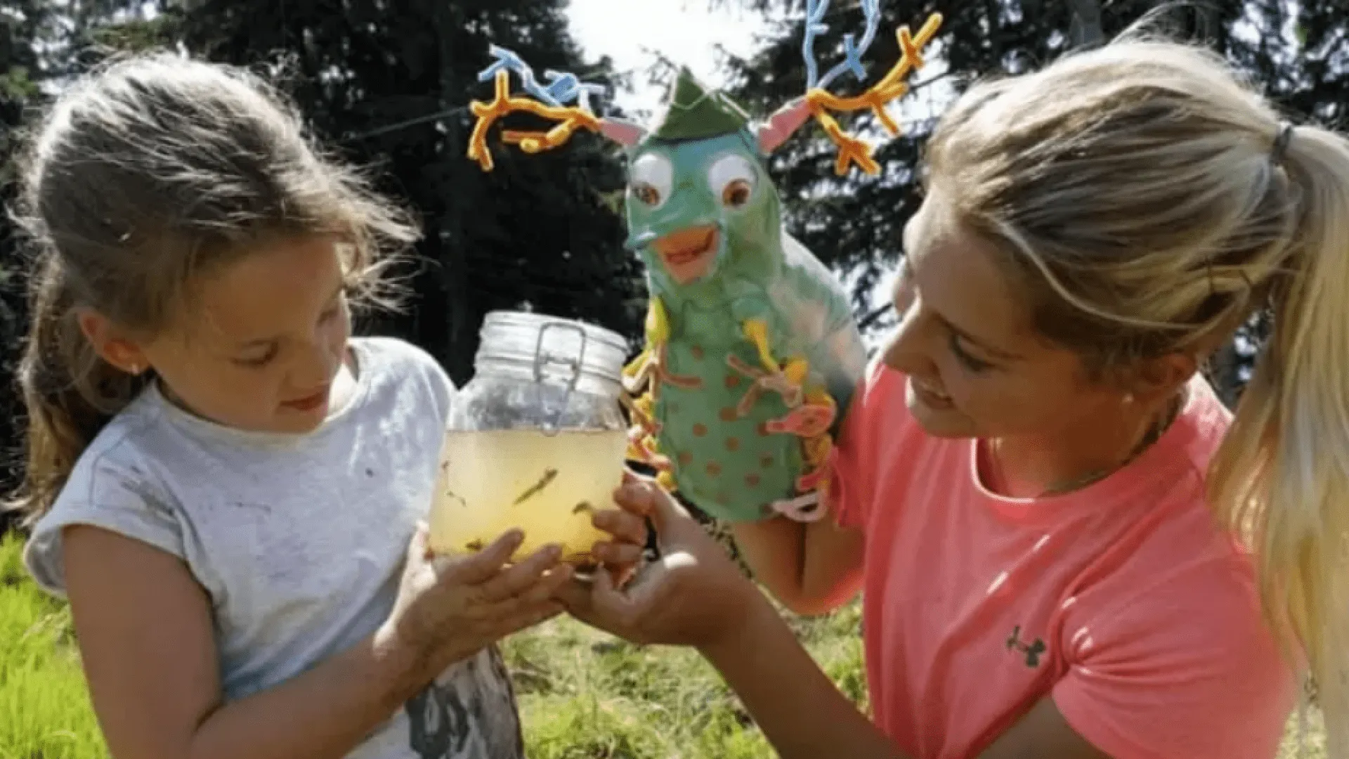 Screenshot_2024-09-12_at_08-48-34_1_k800_westendorf_20180821_1253bearbeitet2-jpg_WEBP-Grafik_750__498_Pixel